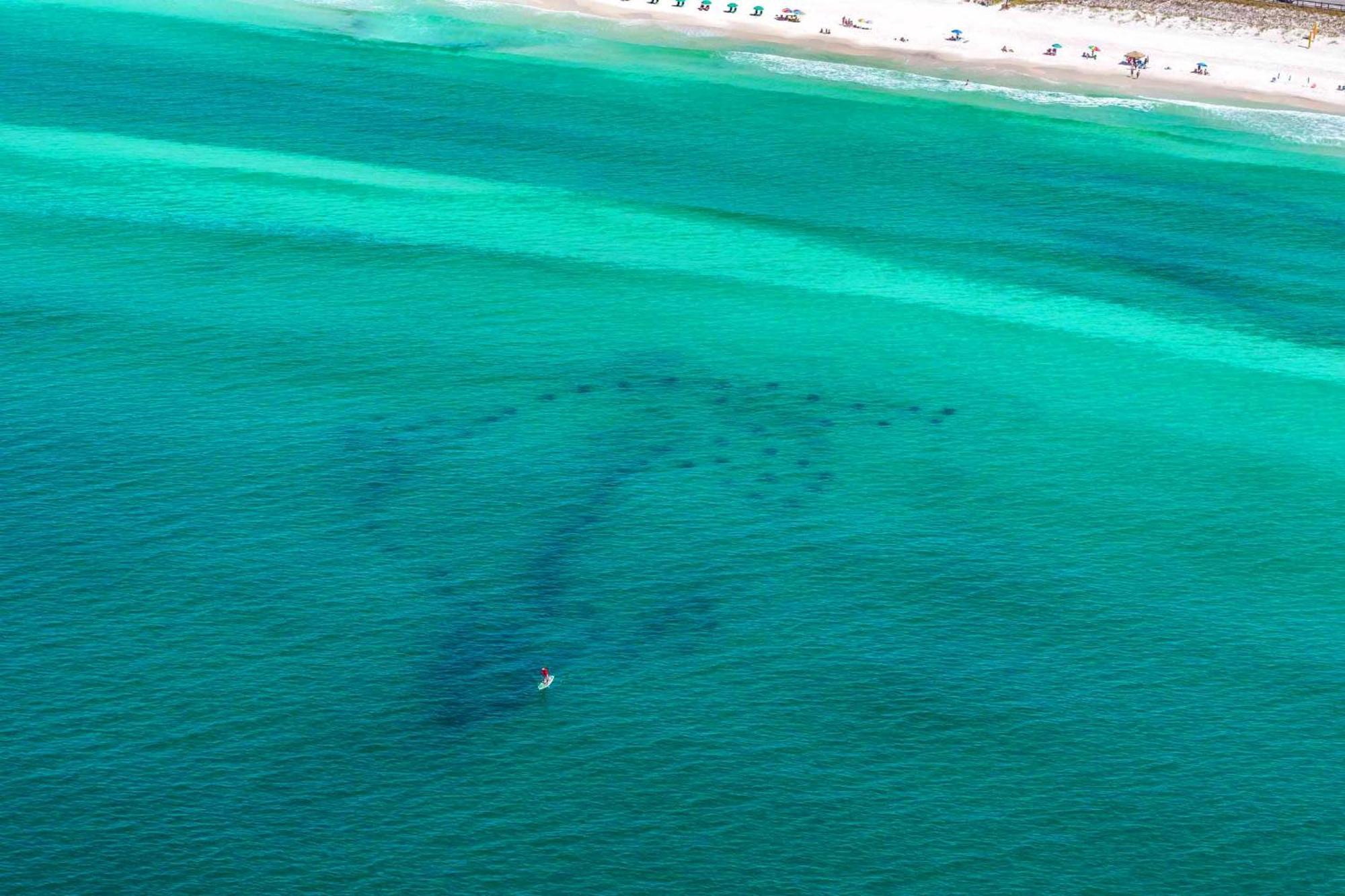 Stay Anchored Destin Bagian luar foto